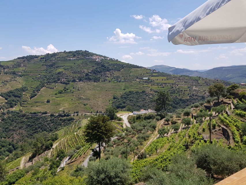 From Porto: Premium Douro Valley 4 Vineyards Tour with Lunch - The N222 and the winery lunch