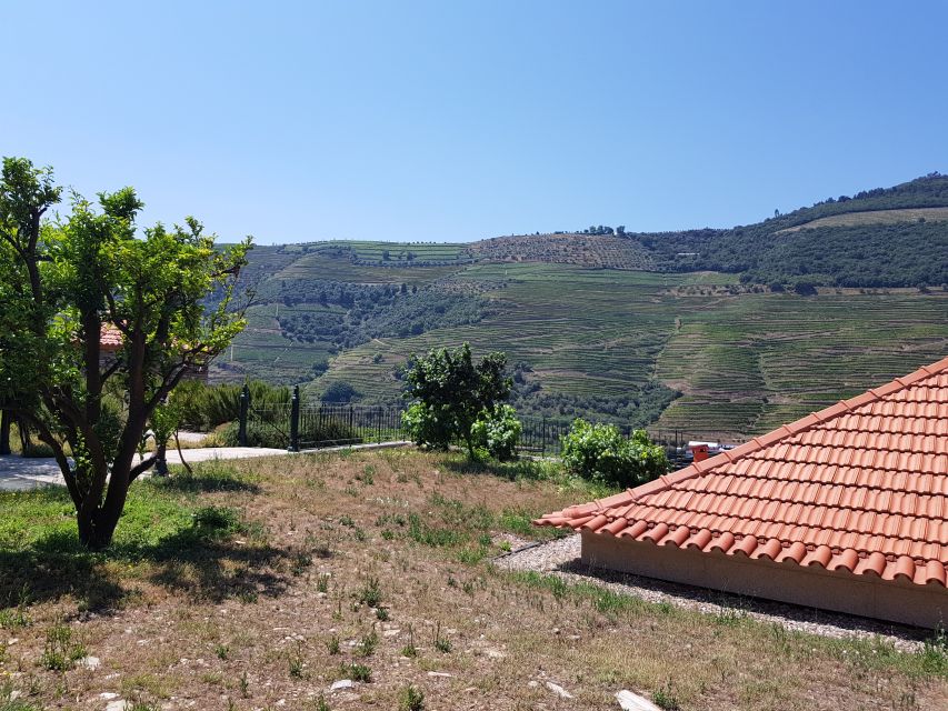 From Porto: Premium Douro Valley 4 Vineyards Tour with Lunch - What the small group changes
