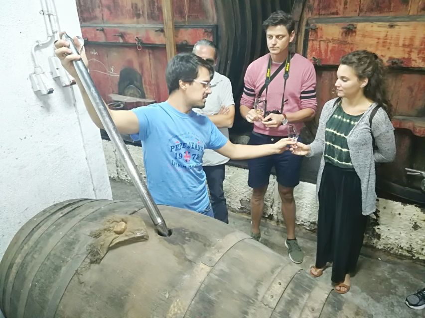 From Porto: Premium Douro Valley 4 Vineyards Tour with Lunch - The long return to Porto