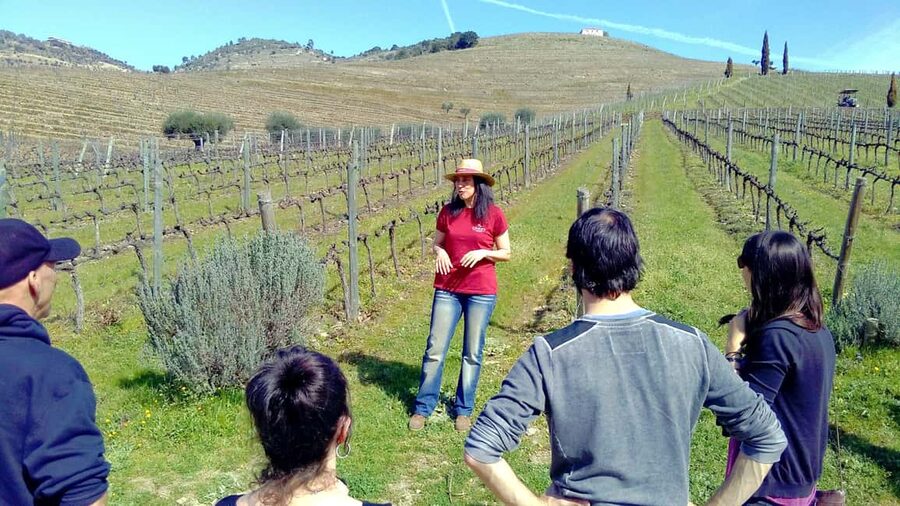 From Porto: Premium Douro Valley 4 Vineyards Tour with Lunch - First winery: your introduction to Douro wine
