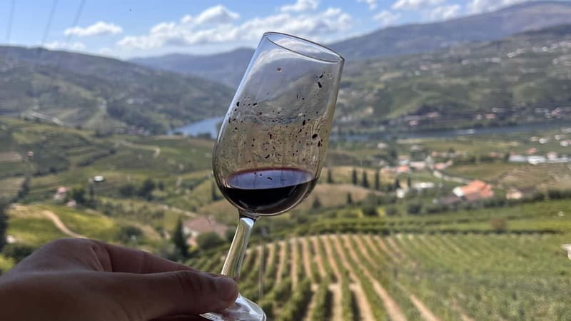 From Porto: Tastings at 2 Wineries, Chef's Lunch & Boat Tour - How much wine will you drink?