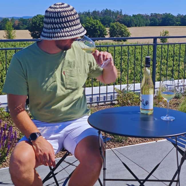 From Prague to the Vineyards: Wine & Gastronomy Tour - How private guiding changes the day