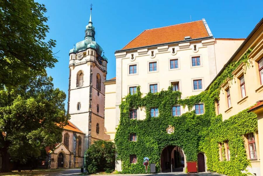 From Prague to the Vineyards: Wine & Gastronomy Tour - Timing, comfort, and what to bring