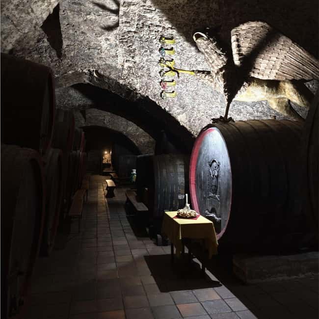 From Prague to the Vineyards: Wine & Gastronomy Tour - My practical verdict