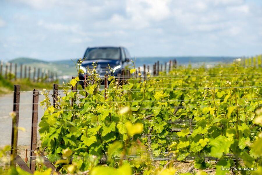 From Reims: Champagne and Family-Run Wineries Tour - At a glance