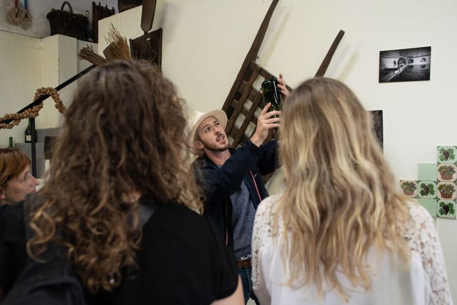 From Reims: Champagne and Family-Run Wineries Tour - Timing, trains, and practical limits