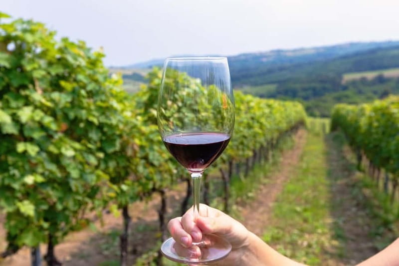 From Roma: Montepulciano and Montalcino, on the Wine Routes - Inside a 13th-century cellar