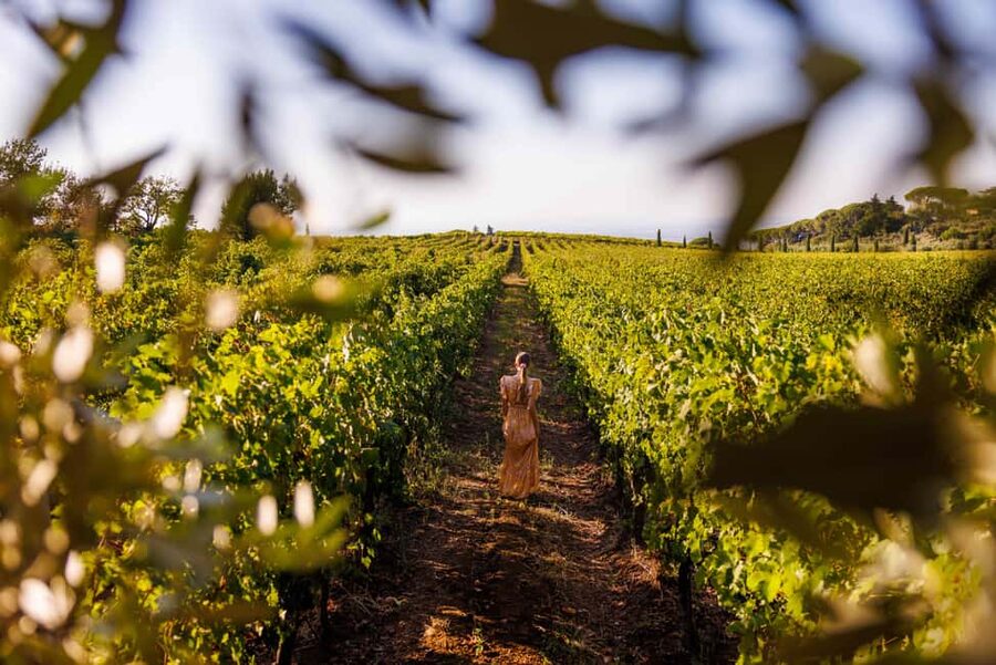 From Rome: Frascati Wine Region Tour with Wine Tasting - Walking through a 300-year-old family winery