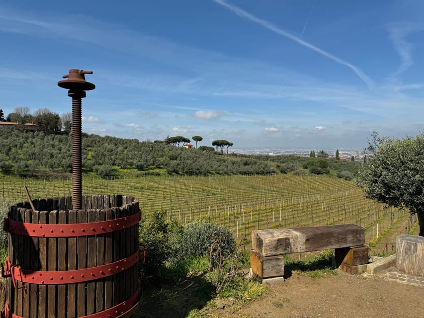From Rome: Frascati Wine Tour with Lunch and Vineyard tour - Key things to know before you book