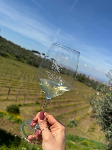 From Rome: Frascati Wine Tour with Lunch and Vineyard tour - Who will enjoy this half-day outing