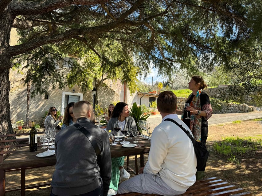 From Rome: Frascati Wine Tour with Lunch and Vineyard tour - How the timing works