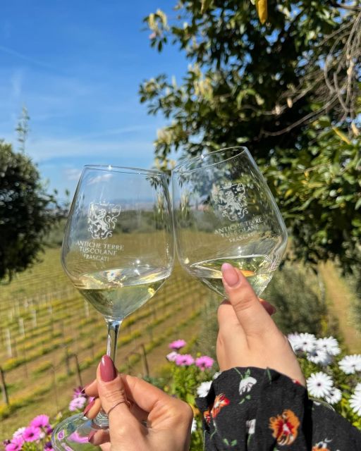 From Rome: Frascati Wine Tour with Lunch and Vineyard tour - From the station to a family-run winery