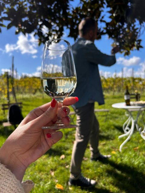 From Rome: Pasta Masterclass & Wine Tour in the Vineyard - Frascati wine, olive oil, and local pairings