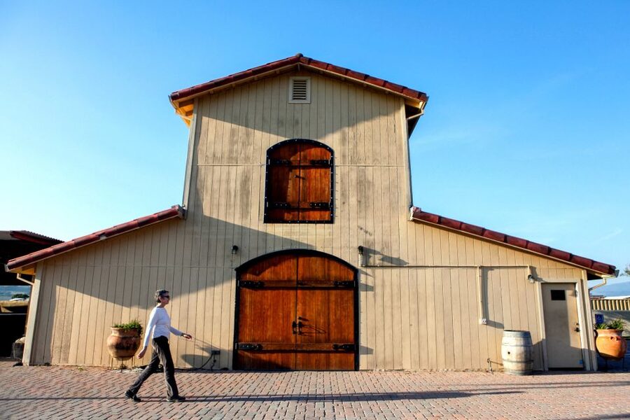 From San Francisco: Muir Woods & 3 Wineries in Napa & Sonoma - Three wineries, three different versions of wine country