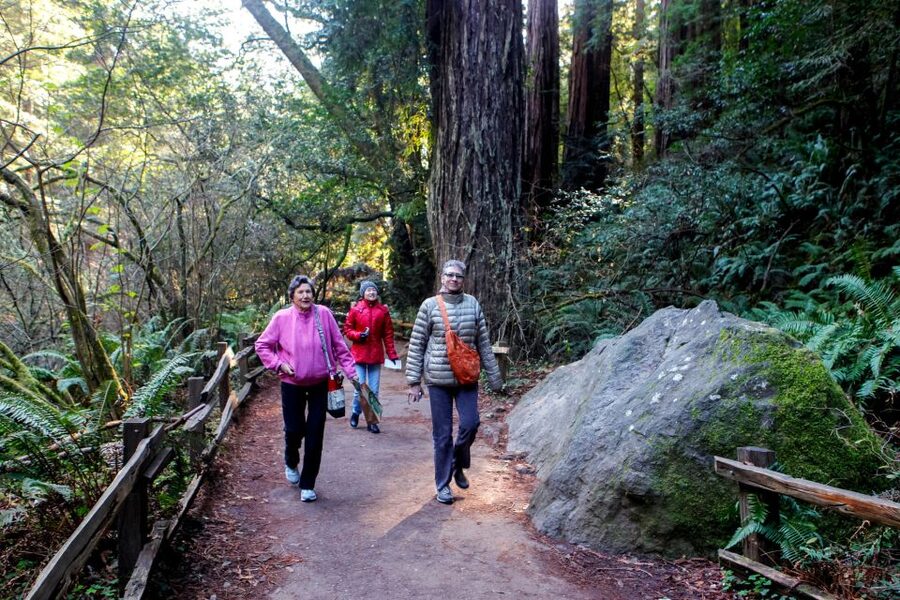 From San Francisco: Muir Woods & 3 Wineries in Napa & Sonoma - The small group and the guide make a real difference