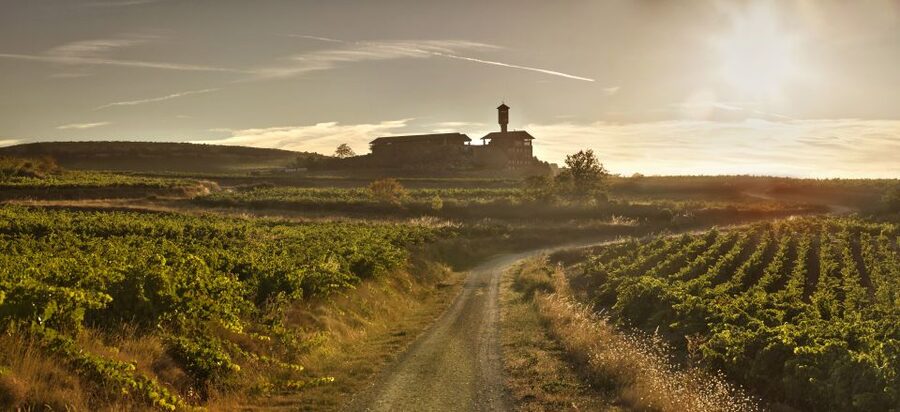 From San Sebastian/Bilbao/Vitoria: La Rioja Wineries Tour - Why Rioja makes a good day trip from the Basque Country