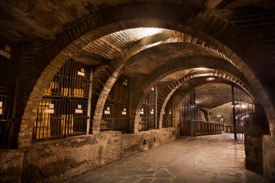 From San Sebastian/Bilbao/Vitoria: La Rioja Wineries Tour - Who will enjoy this day most