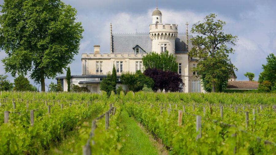From San Sebastián: Bordeaux & Winery Private Guided Tour - The road from San Sebastián to France