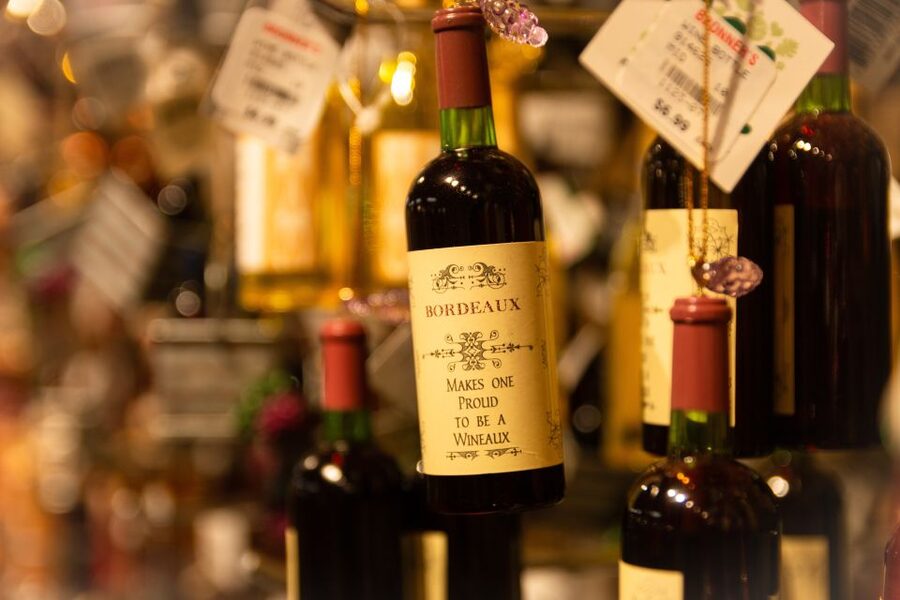 From San Sebastián: Bordeaux & Winery Private Guided Tour - Who will enjoy this day most?