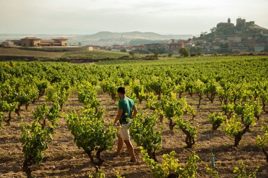 From San Sebastián: Private Rioja Wine Region Day Tour - Key points at a glance