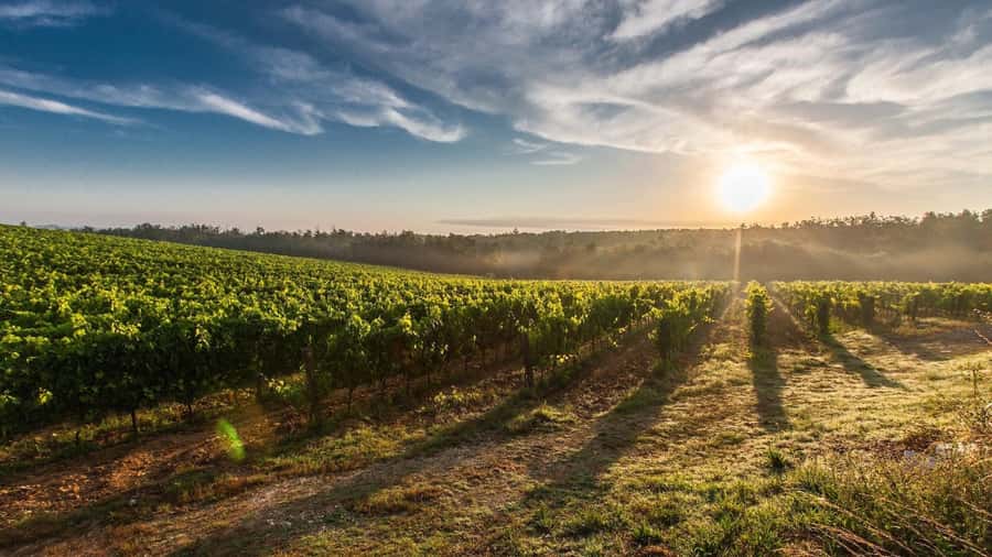From Santiago: Isla Negra, Pablo Neruda Museum & Winery Tour - Who should book this private Santiago day trip?