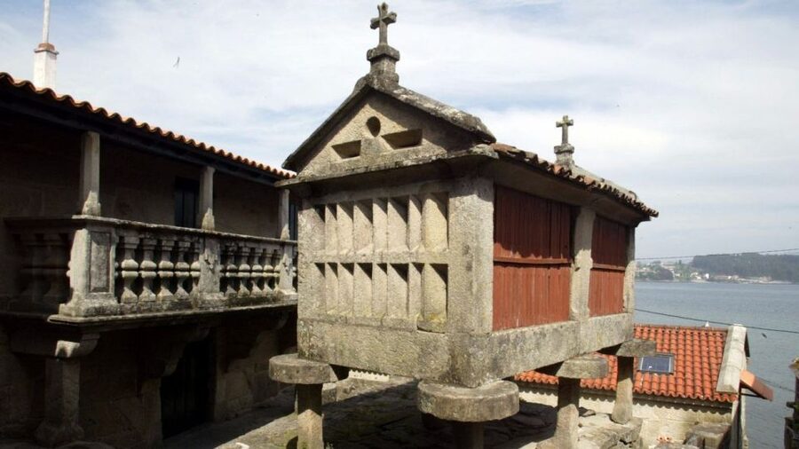 From Santiago: Tour to Rias Baixas with Boat Trip and Winery - Albariño country and the winery tasting