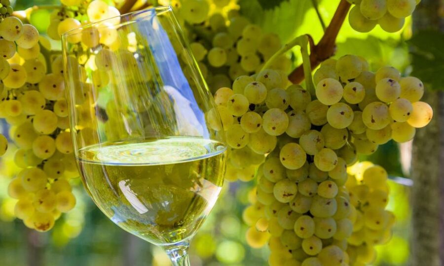From Santiago: Tour to Rias Baixas with Boat Trip and Winery - Coach travel, timing, and the value of $50