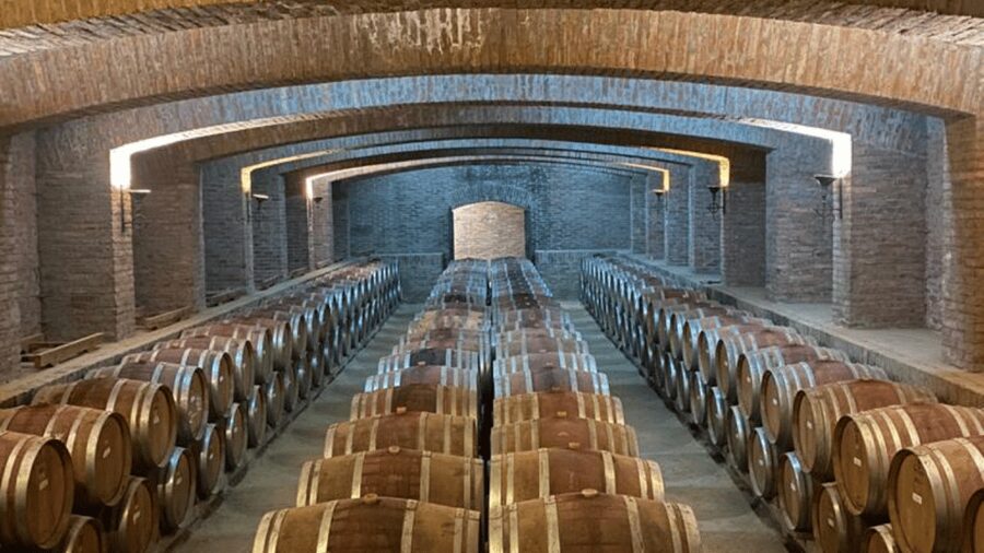 From Santiago: Undurraga Winery Tour with Tasting - Language, Timing, and the Risk of a Rushed Visit