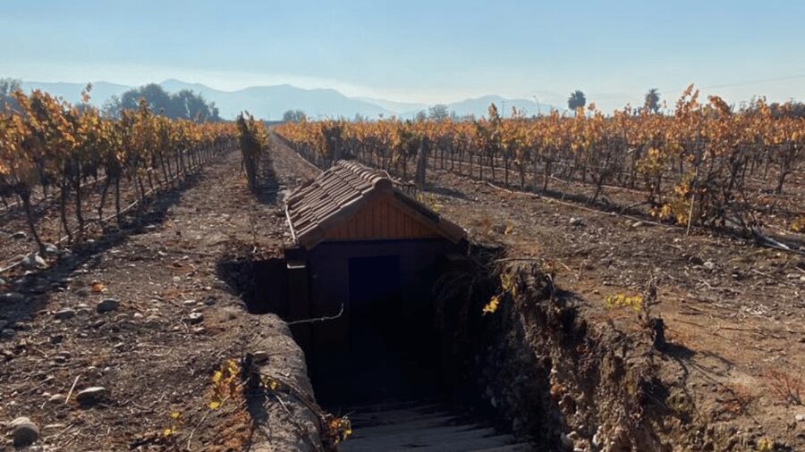 From Santiago: Undurraga Winery Tour with Tasting - Who Will Enjoy This Winery Visit Most