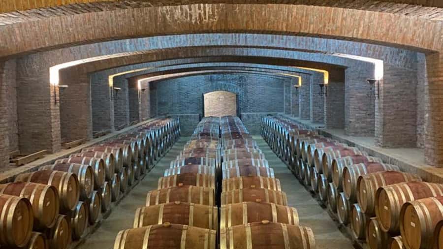 From Santiago: Undurraga Winery Tour with Tasting - Inside Cellars With More Than 130 Years of Use