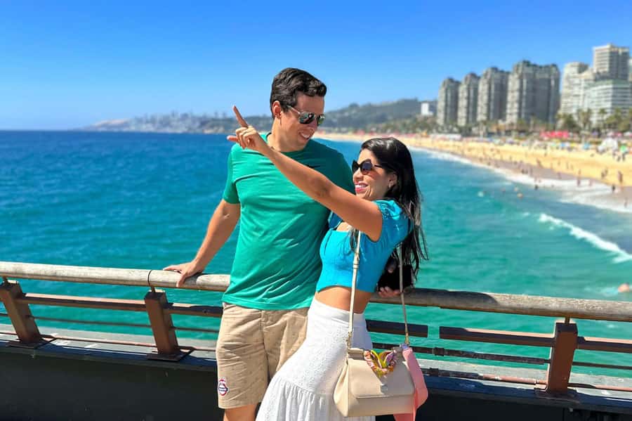 From Santiago: Vineyard, Valparaíso, and Viña del Mar Tour - Who should book this experience