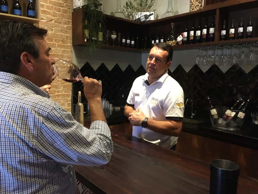 From São Paulo: São Roque Wineries Route and Tasting of Wine - Key points to know before booking