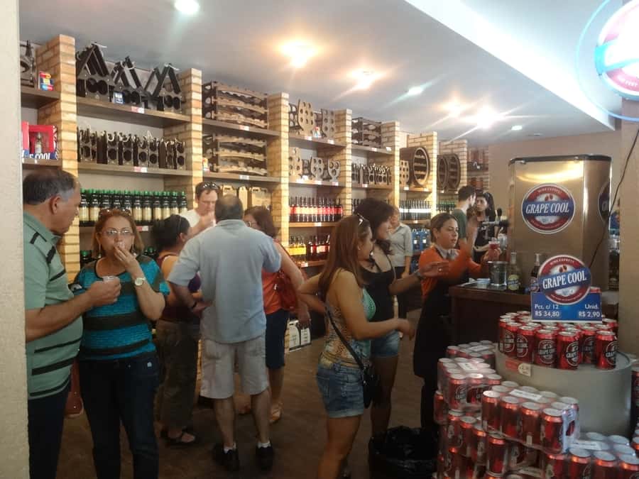 From São Paulo: São Roque Wineries Route and Tasting of Wine - Who should book this São Roque day trip?