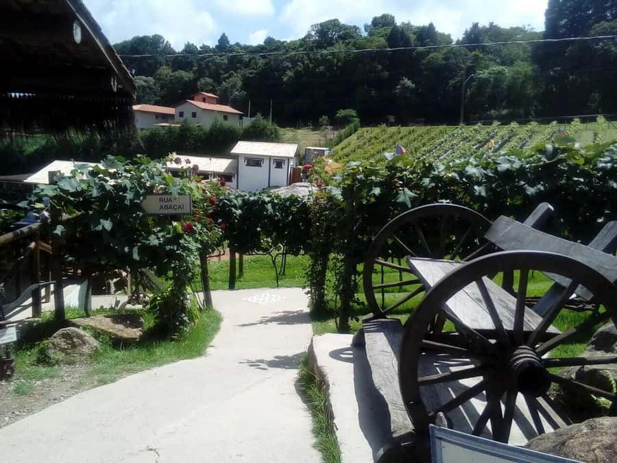 From São Paulo: São Roque Wineries Route and Tasting of Wine - Local food beyond the bottle