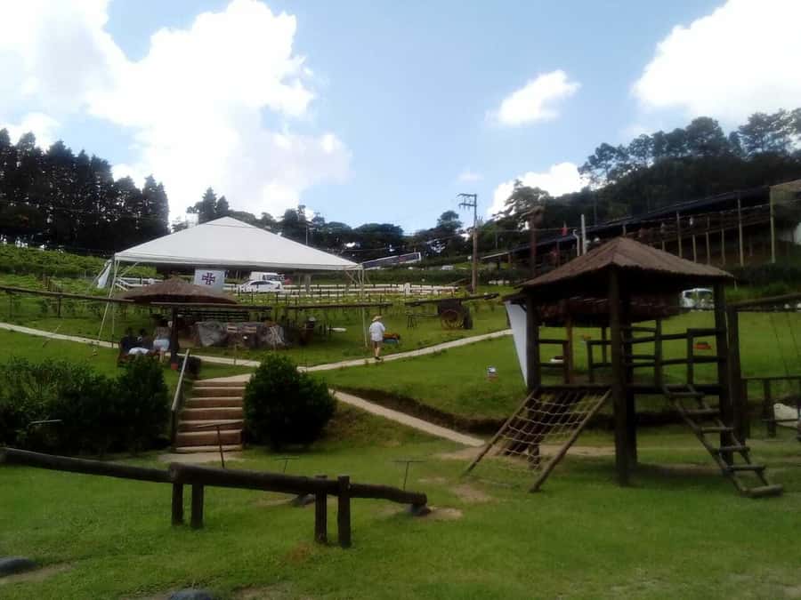 From São Paulo: São Roque Wineries Route and Tasting of Wine - What the guide adds to the day