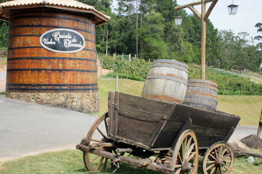 From São Paulo: São Roque Wineries Route and Tasting of Wine - Pickup details that can make or break the morning