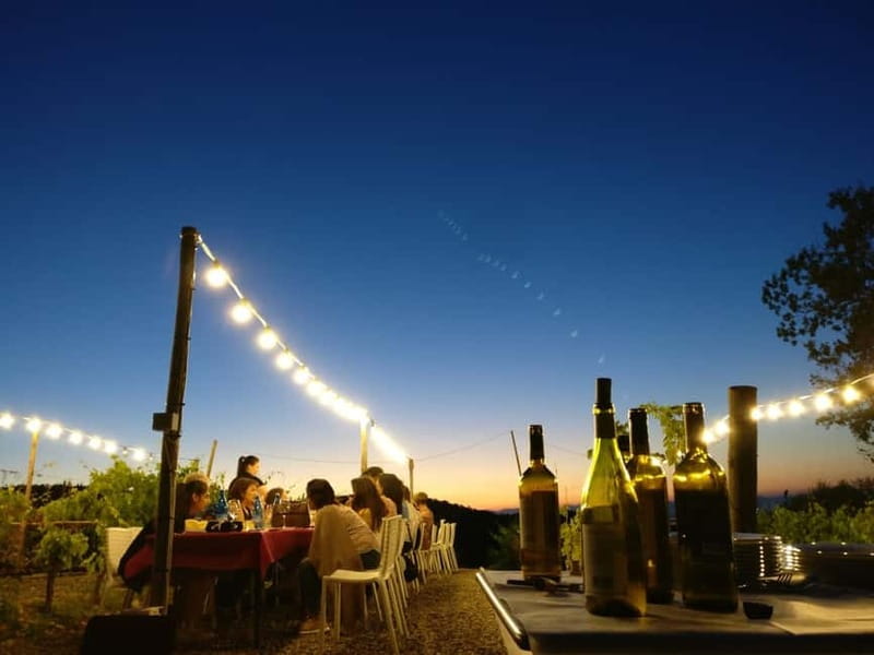 From Siena/Chianti: Dinner & Drinks in the Chianti Vineyards - From Siena station to the Chianti countryside