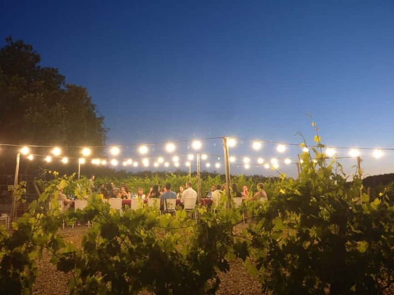 From Siena/Chianti: Dinner & Drinks in the Chianti Vineyards - Four courses of farm-style Tuscan food