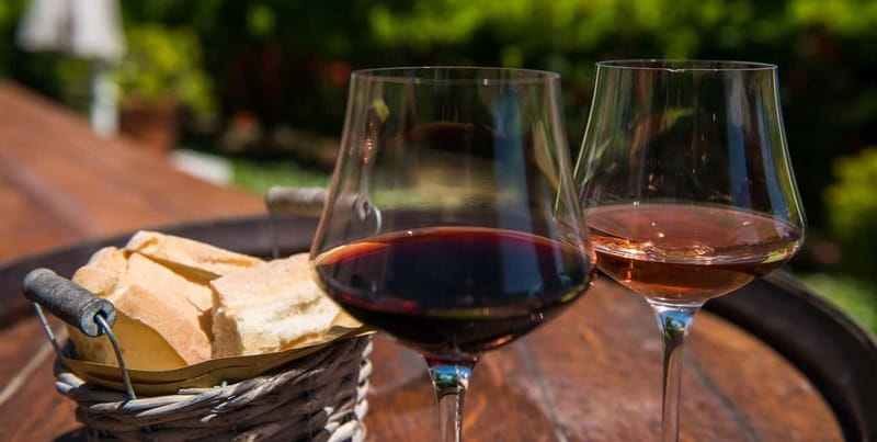 From Siena/Chianti: Dinner & Drinks in the Chianti Vineyards - Should you book this vineyard dinner?