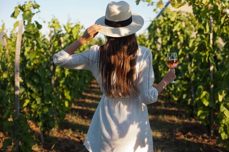From Siena/Chianti: Dinner & Drinks in the Chianti Vineyards - A Tuscan farm with more than a tasting room