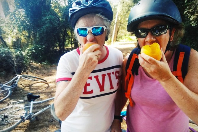 From Sitges: Bike Tour and Winery Visit with Free Hotel Pick Up. - Who should book this outing?