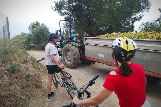 From Sitges: Bike Tour and Winery Visit with Free Hotel Pick Up. - Timing, group size, and cancellation