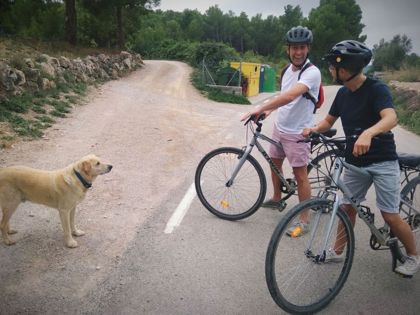 From Sitges: Cycling Tour with Winery visit and Tasting - Should you book the Sitges cycling and winery tour?