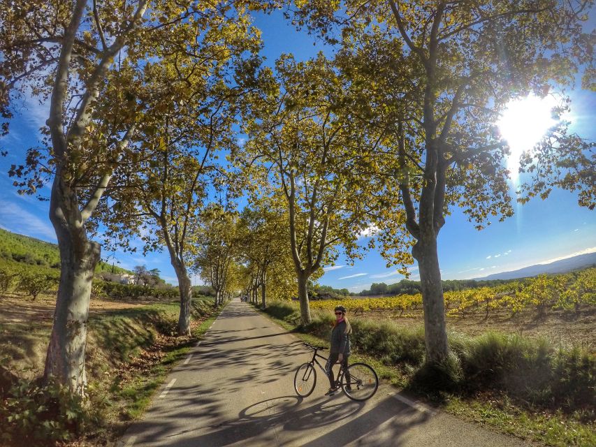 From Sitges: Paella Masterclass, Bike Ride and Winery Visit - Tips for getting more from the experience