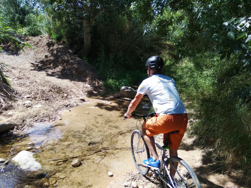From Sitges: Paella Masterclass, Bike Ride and Winery Visit - Is this Sitges day trip worth booking?