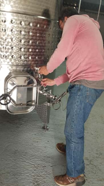 From Sitges: Wine Tasting at 2 Wineries with Hotel Pickup - Second winery: a useful change of pace