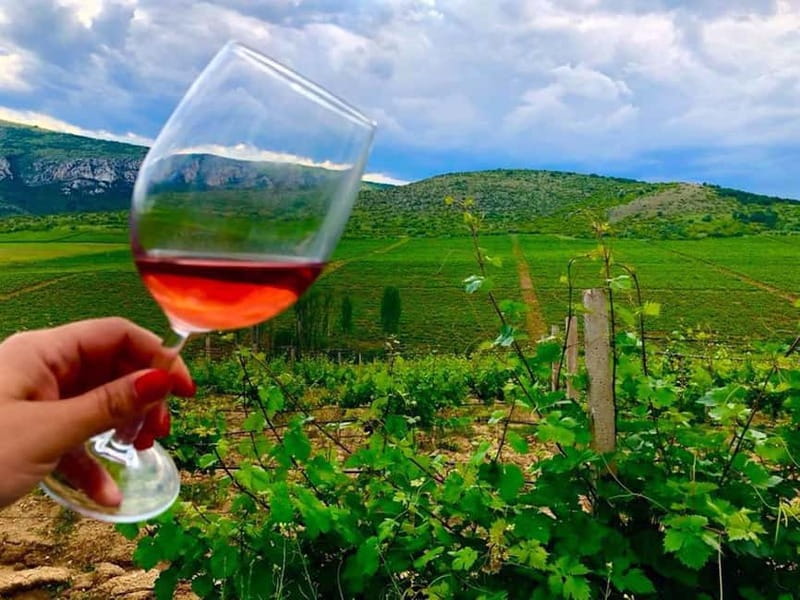 From Skopje: Private Tour of Sopot Winery with Lunch - Inside the modern production facility