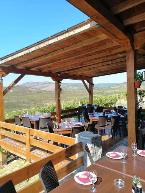 From Skopje: Private Tour of Sopot Winery with Lunch - Who will enjoy this half-day outing?