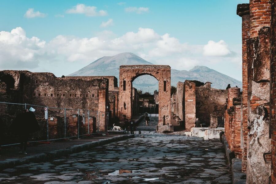 From Sorrento: Skip-the-Line Pompeii Tour and Vineyard Lunch - From Sorrento to Pompeii by private bus