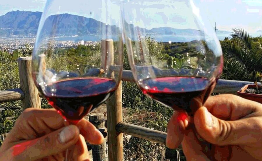 From Sorrento: Skip-the-Line Pompeii Tour and Vineyard Lunch - Who should book this six-hour outing?